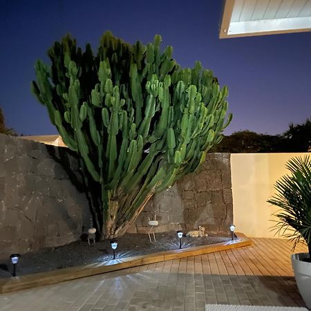 Villa Grey By Vulcano Homes Tahiche エクステリア 写真